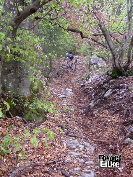 kliknut�m zav�ete okno